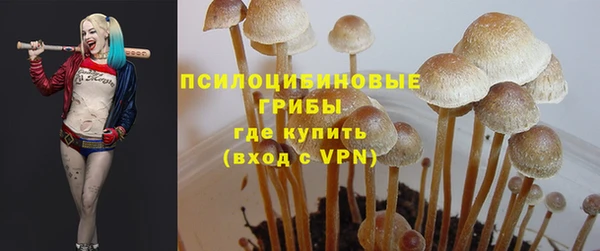 2c-b Алексин