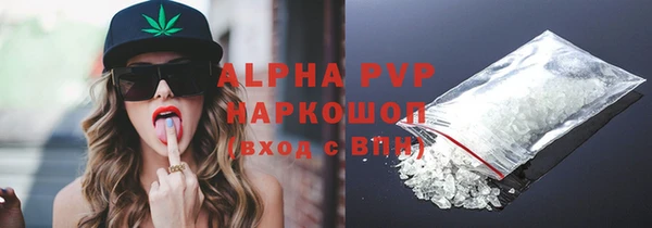 гашик Алексеевка