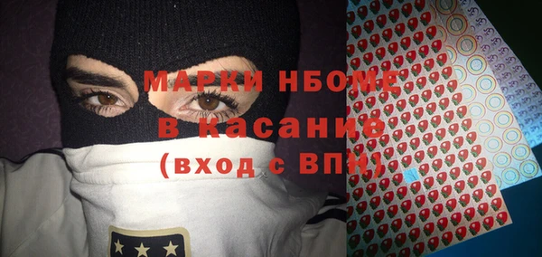 гашик Алексеевка