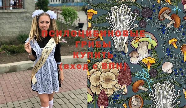 ПСИЛОЦИБИНОВЫЕ ГРИБЫ Алзамай