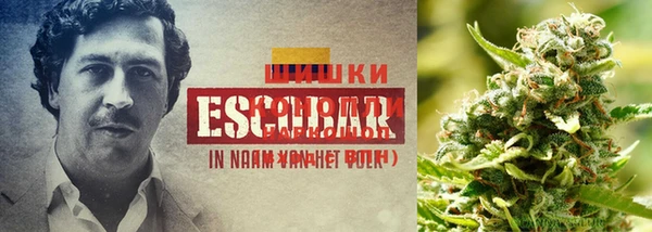 гашик Алексеевка
