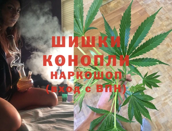 гашик Алексеевка