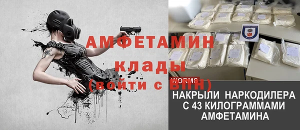 ПСИЛОЦИБИНОВЫЕ ГРИБЫ Алзамай