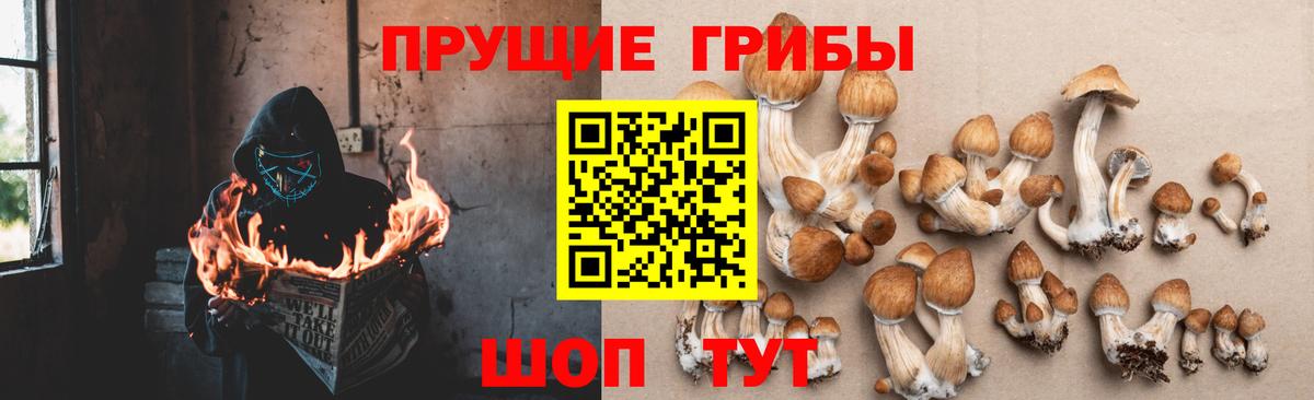 Псилоцибиновые грибы мицелий  купить закладку  Добрянка  Вход с VPN 